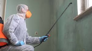 Why You Should Choose Our Mold Remediation Services in Ranchettes, WY